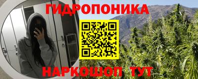 прущие крисы Вышний Волочёк