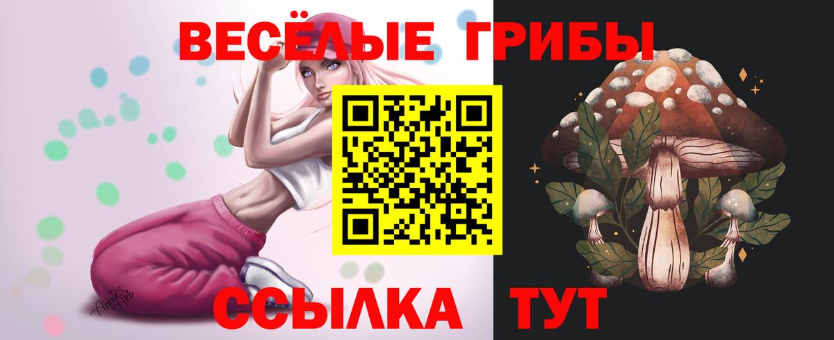 Псилоцибиновые грибы Cubensis  Вход с VPN  Владикавказ  дарнет шоп  Псилоцибиновые грибы мицелий 